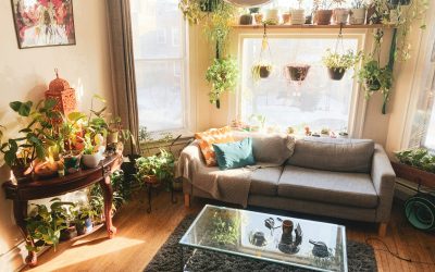 indoor-plants wooden coffee table gray sofa creating a green-oasis